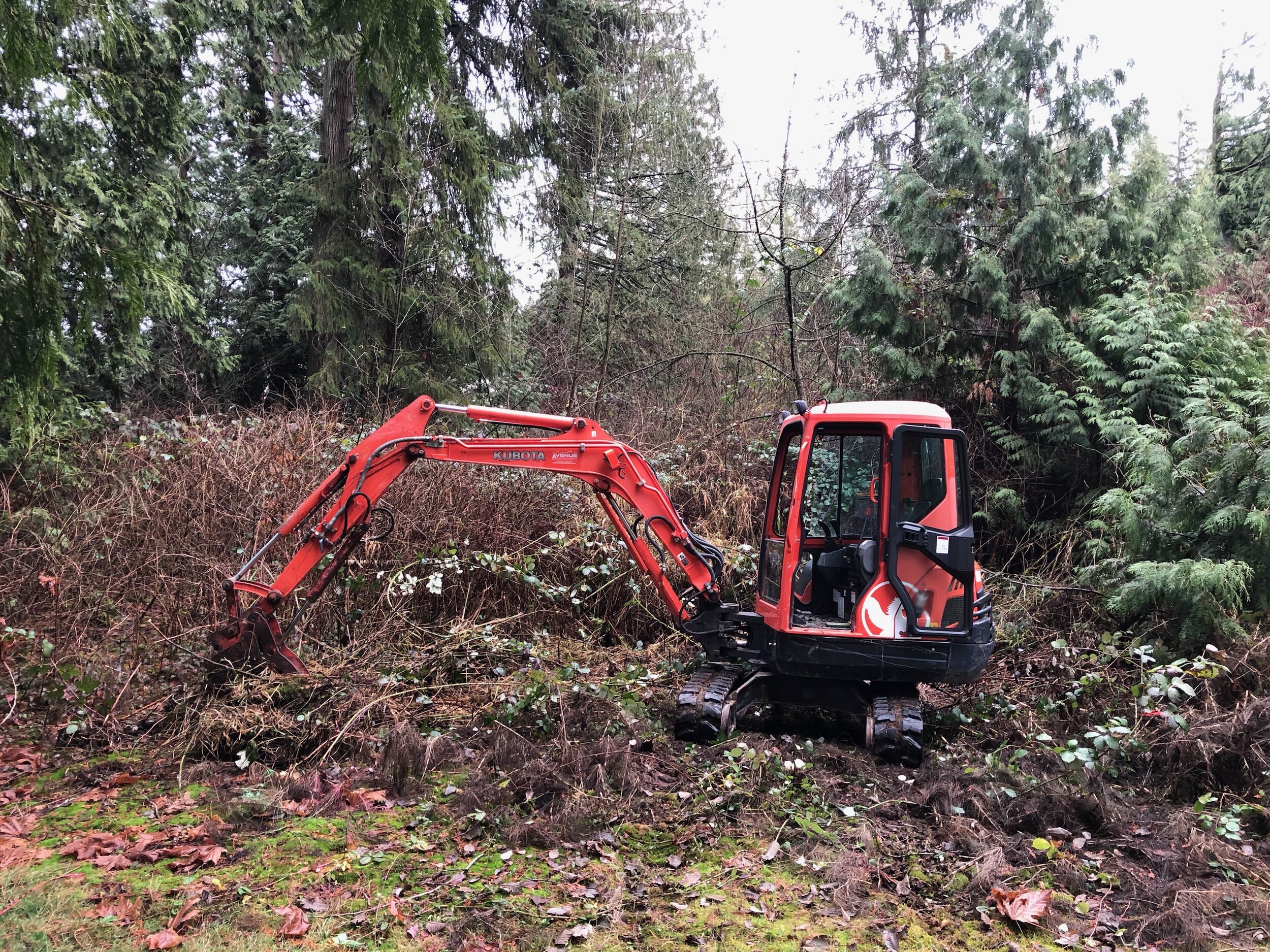 Land Clearing Excavation