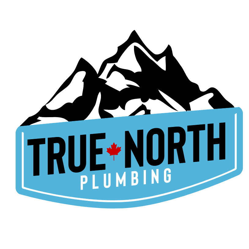 true north logo.png