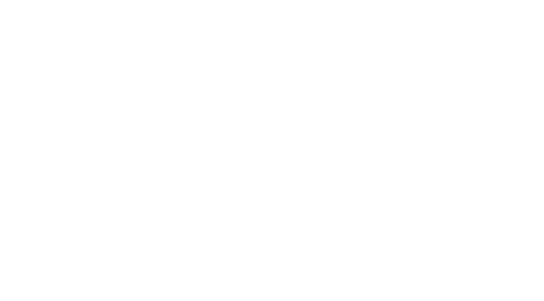 Adele Salon