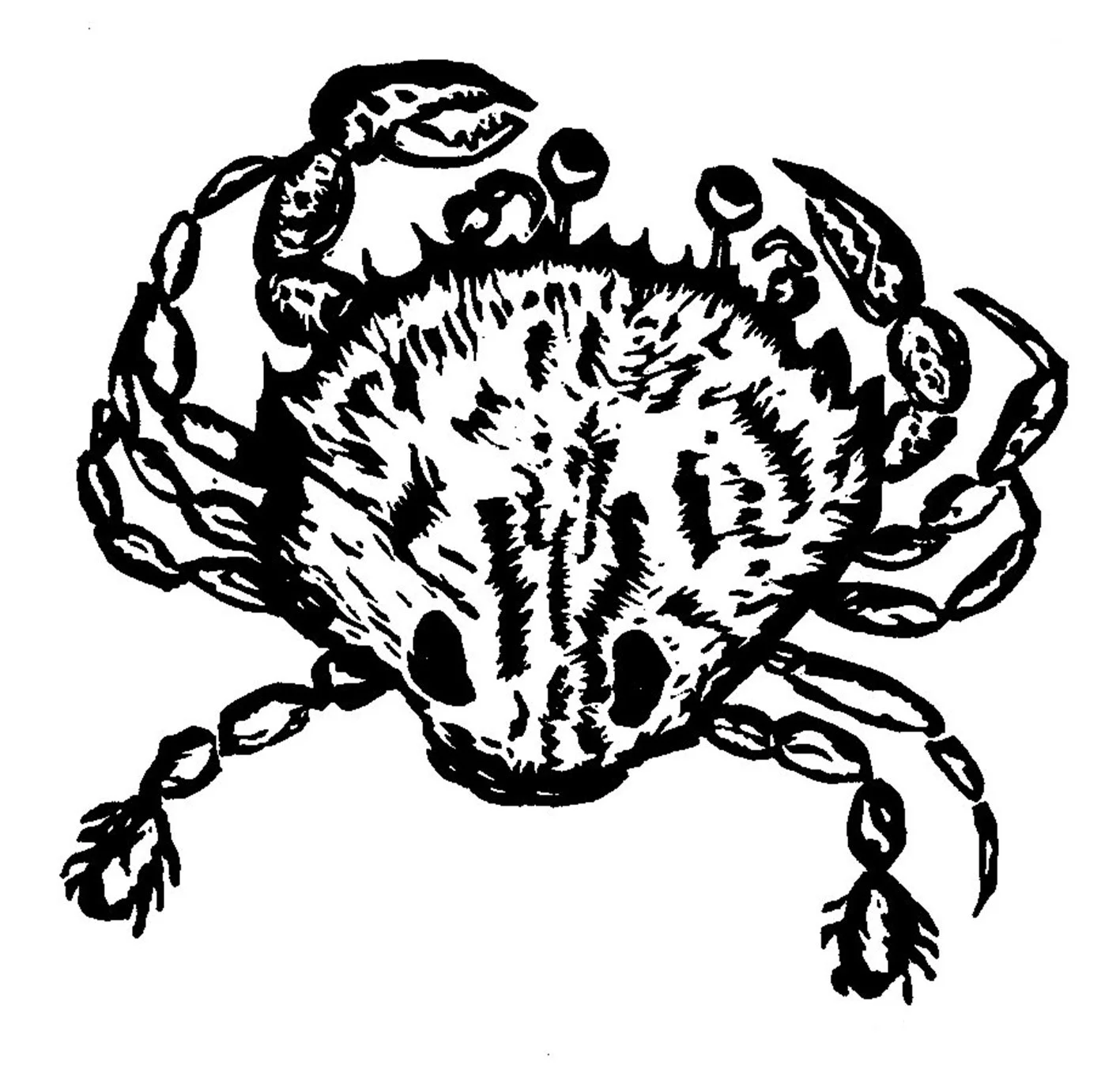 Lino Skills Social on Friday 