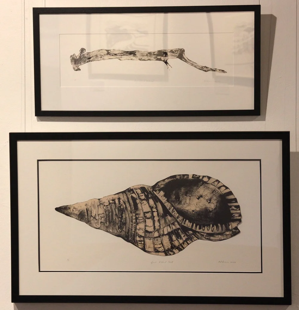 Kaye Driftwood and Shell.jpg