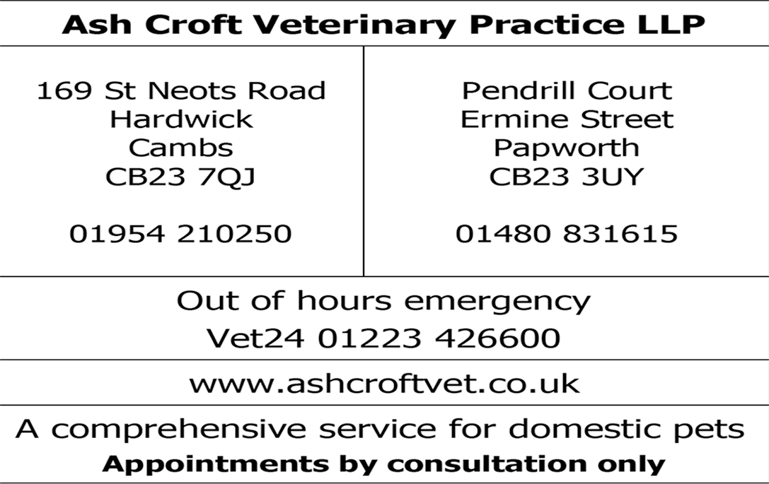 1494 - Ash Croft.png