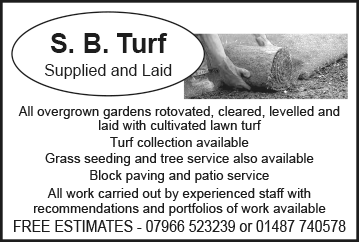 2383 - SB Turf.png