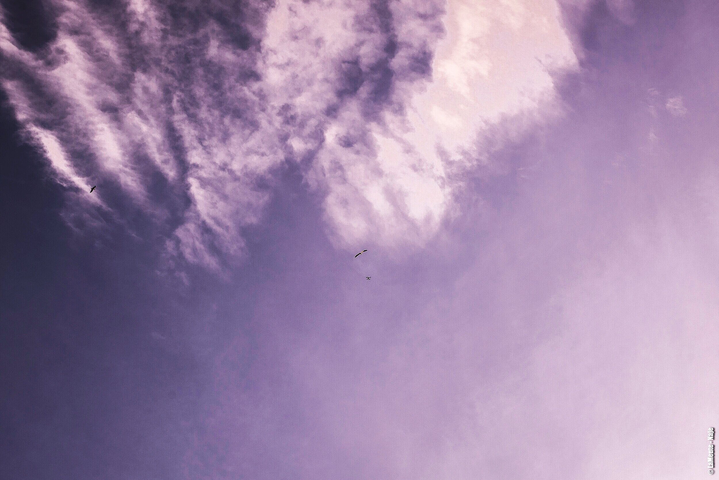 Psychiatrie et coronavirus : des angoisses étouffées