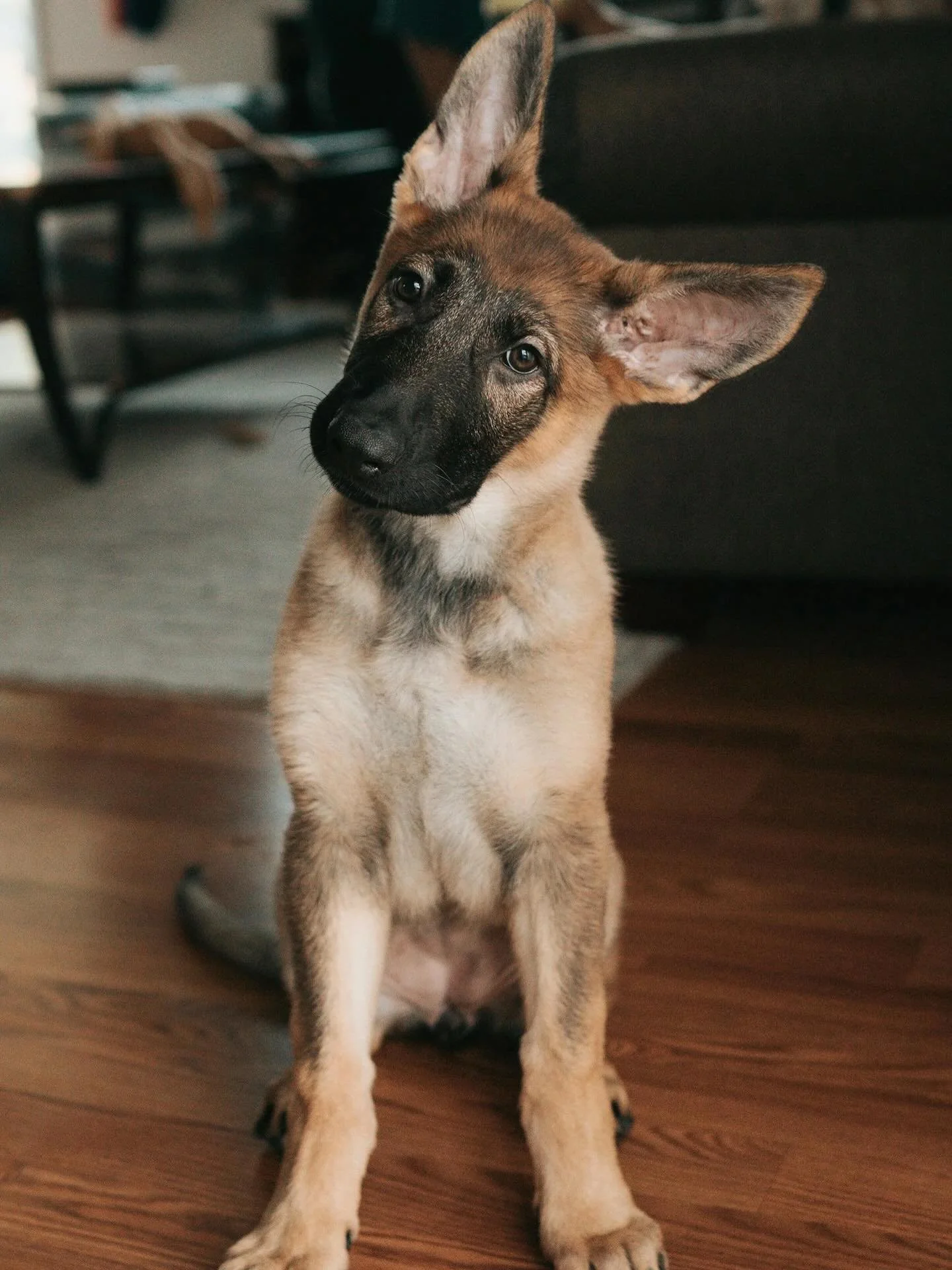 I hear it all the time: &ldquo;My ex is a narcissist.&rdquo; &ldquo;They&rsquo;re lazy.&rdquo; &ldquo;They never parented right.&rdquo;

And sometimes, those things are true. But every so often, we lose sight of our own blind spots.

I wrote these no