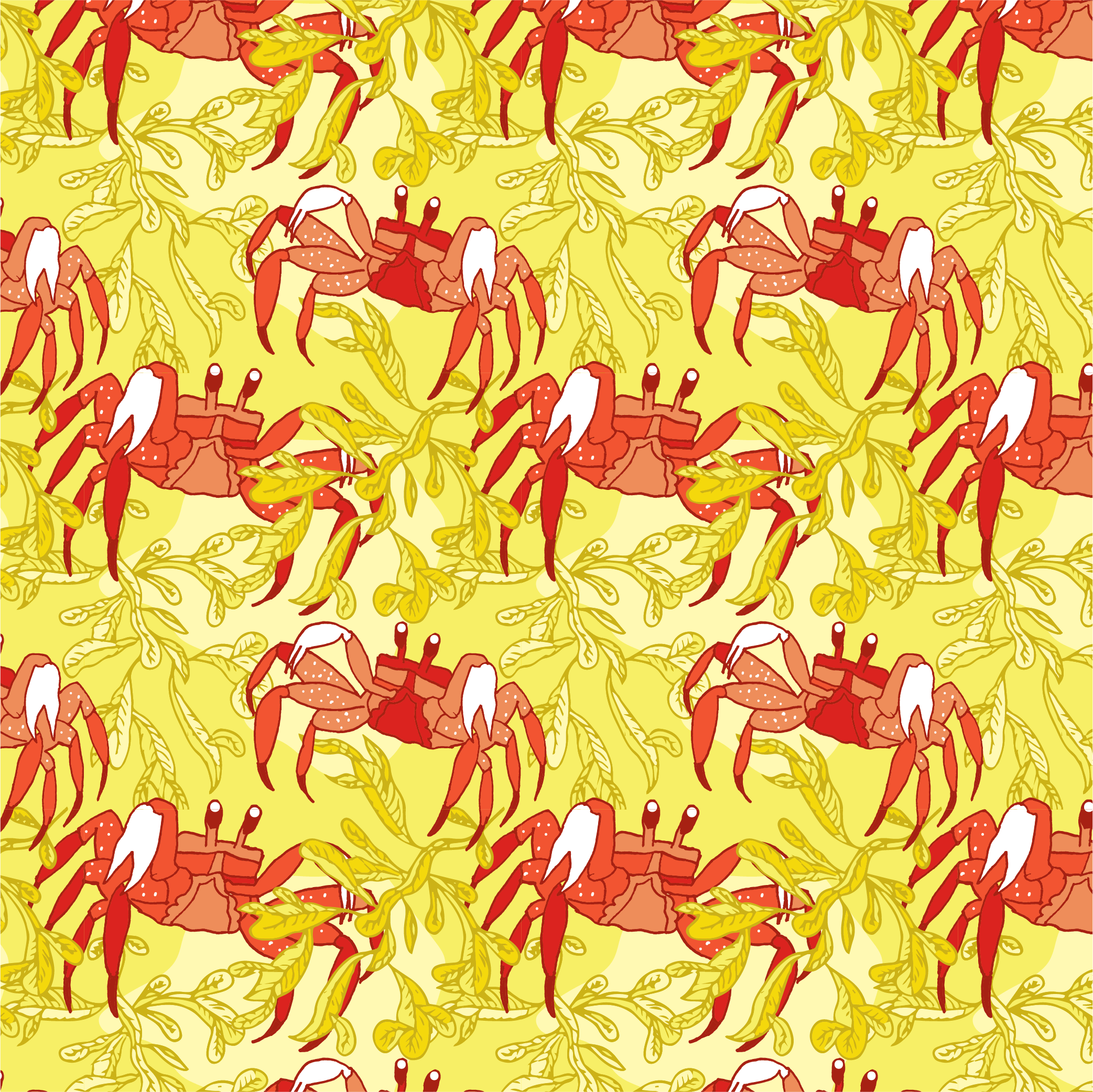 CRAB AND GO - DAY