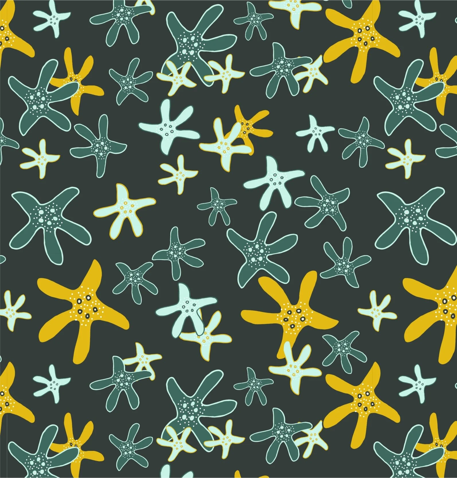 BLAZING STARFISH - NIGHT