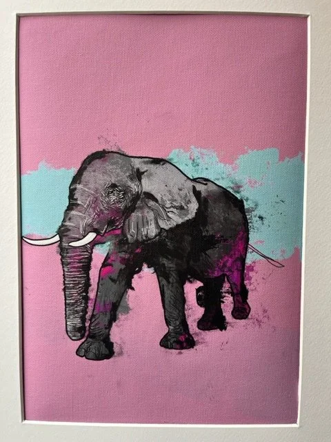 Elephant “Invincible II”