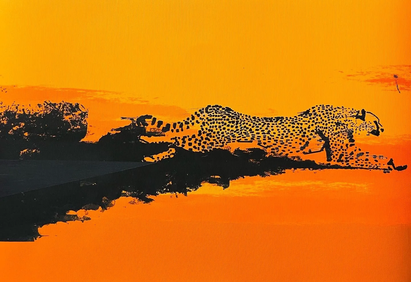 Cheetah “Faster”