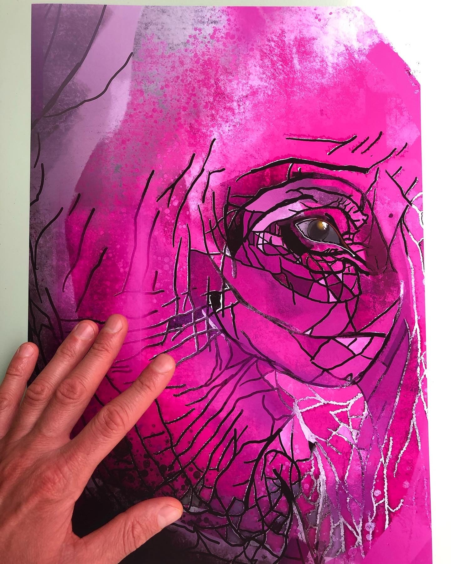 Elephant Eye “Invincible”