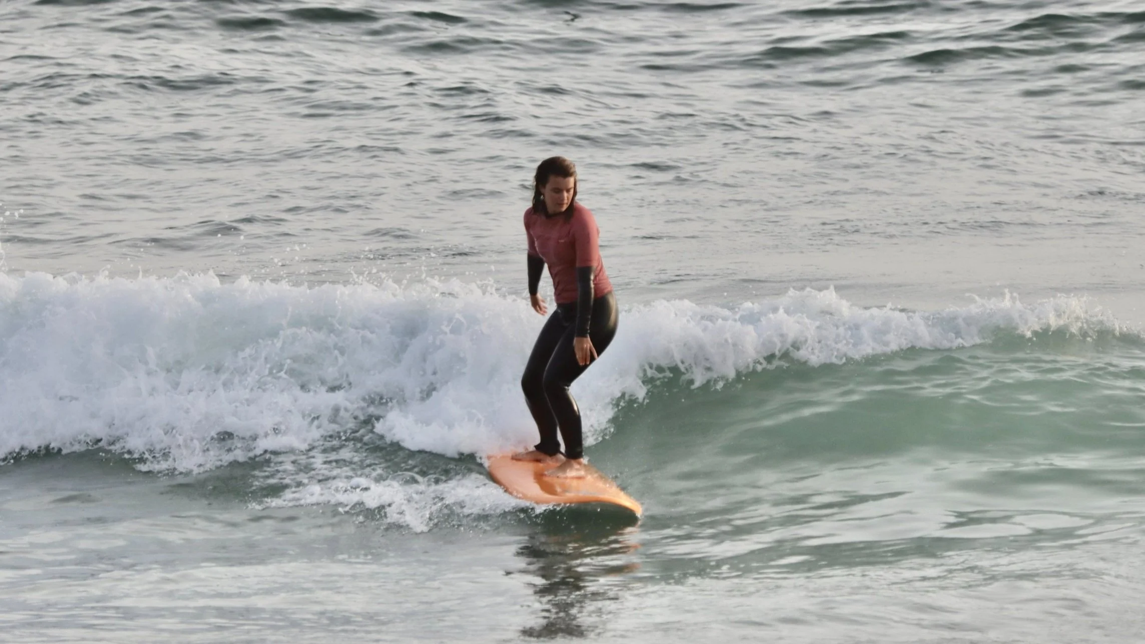 Improver surfer surfing small greenwave at sunset, Imouran, Taghazout Bay, Morocco