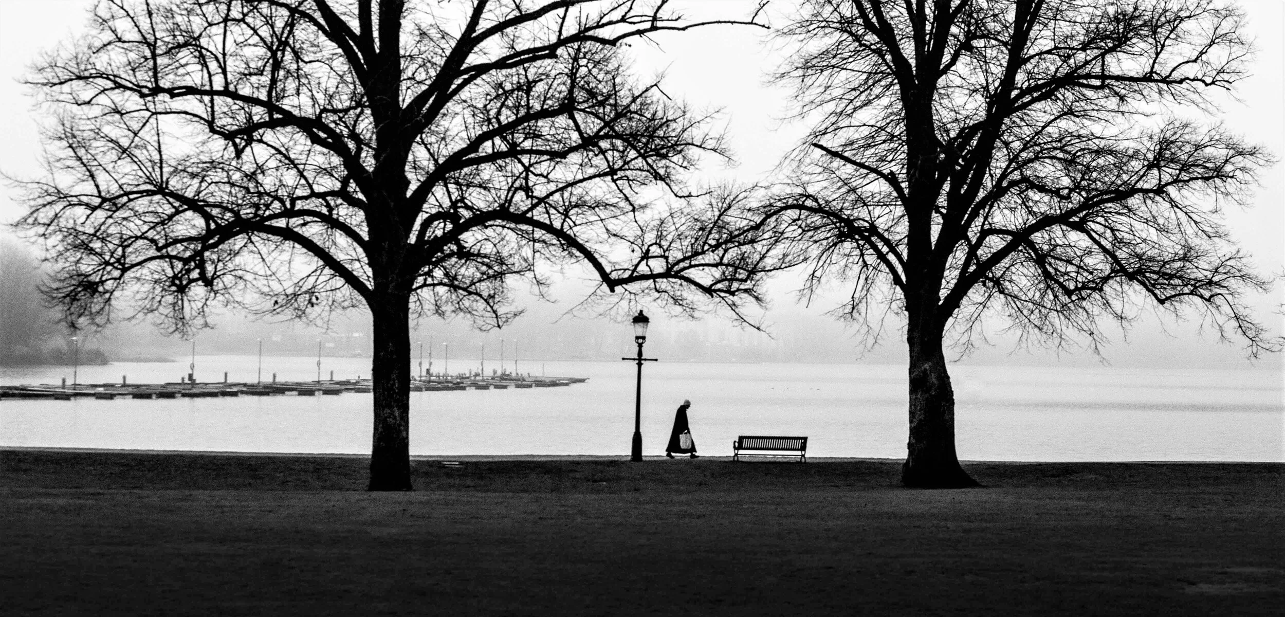 walk in the park2.jpg