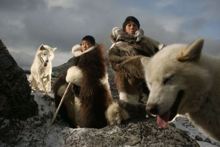 Fiann Paul Arctic Photography (26).JPG