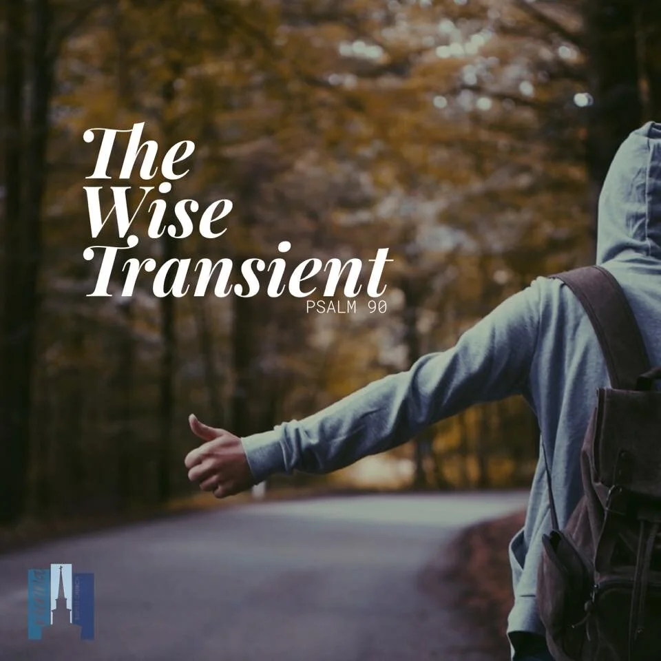 "The Wise Transient" - February 23, 2020 