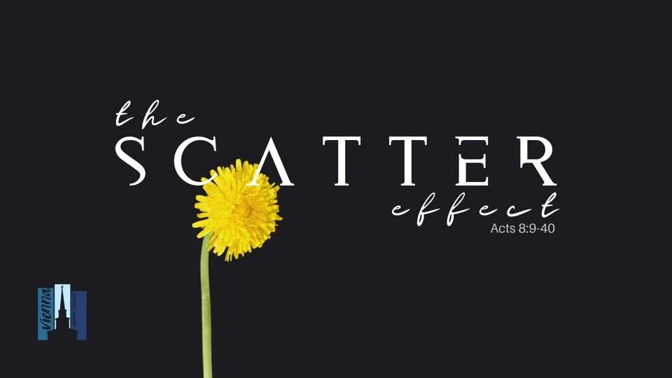 "The Scatter Effect" September 20, 2020