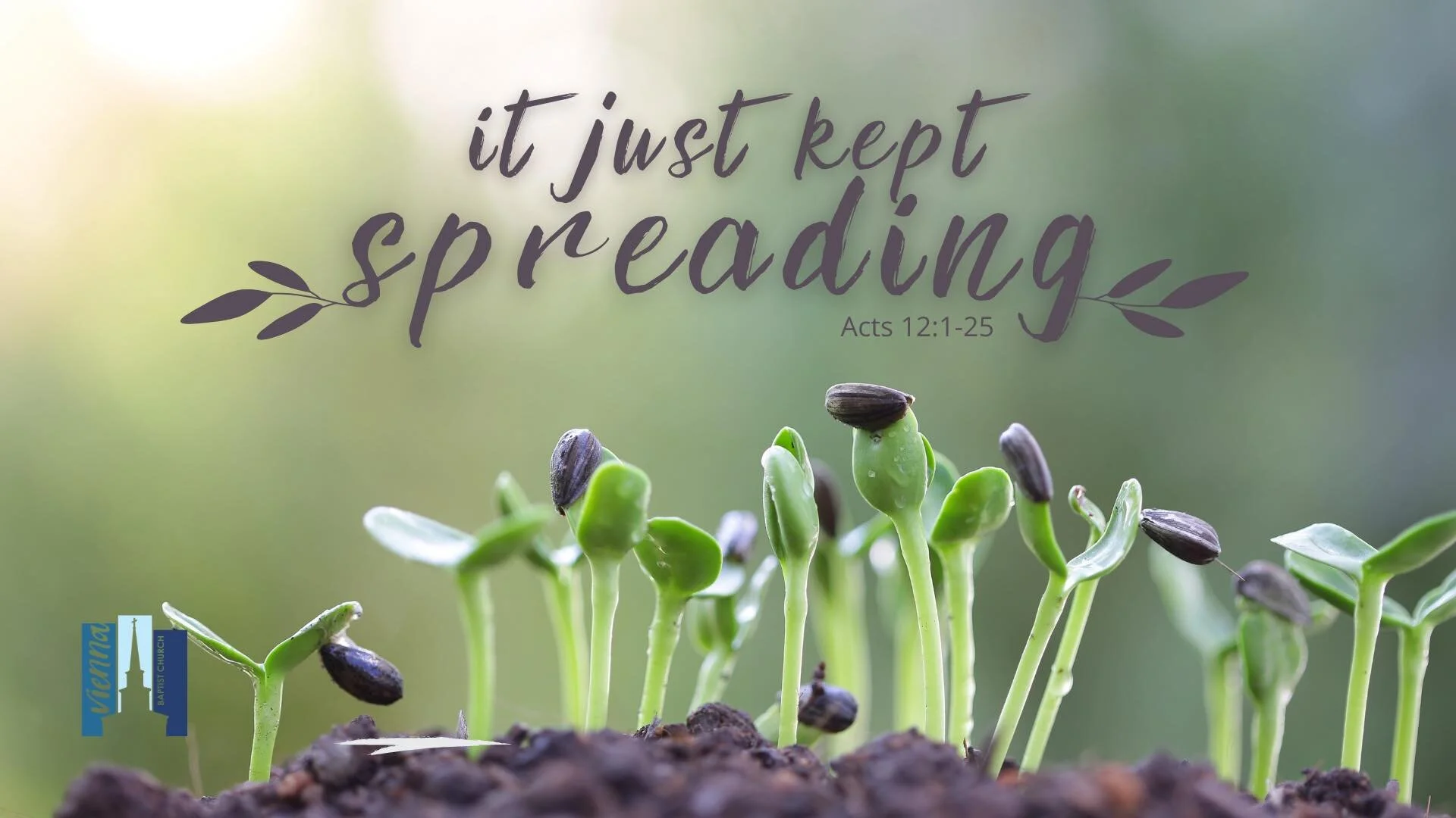 "It Just Kept Spreading" October 18, 2020