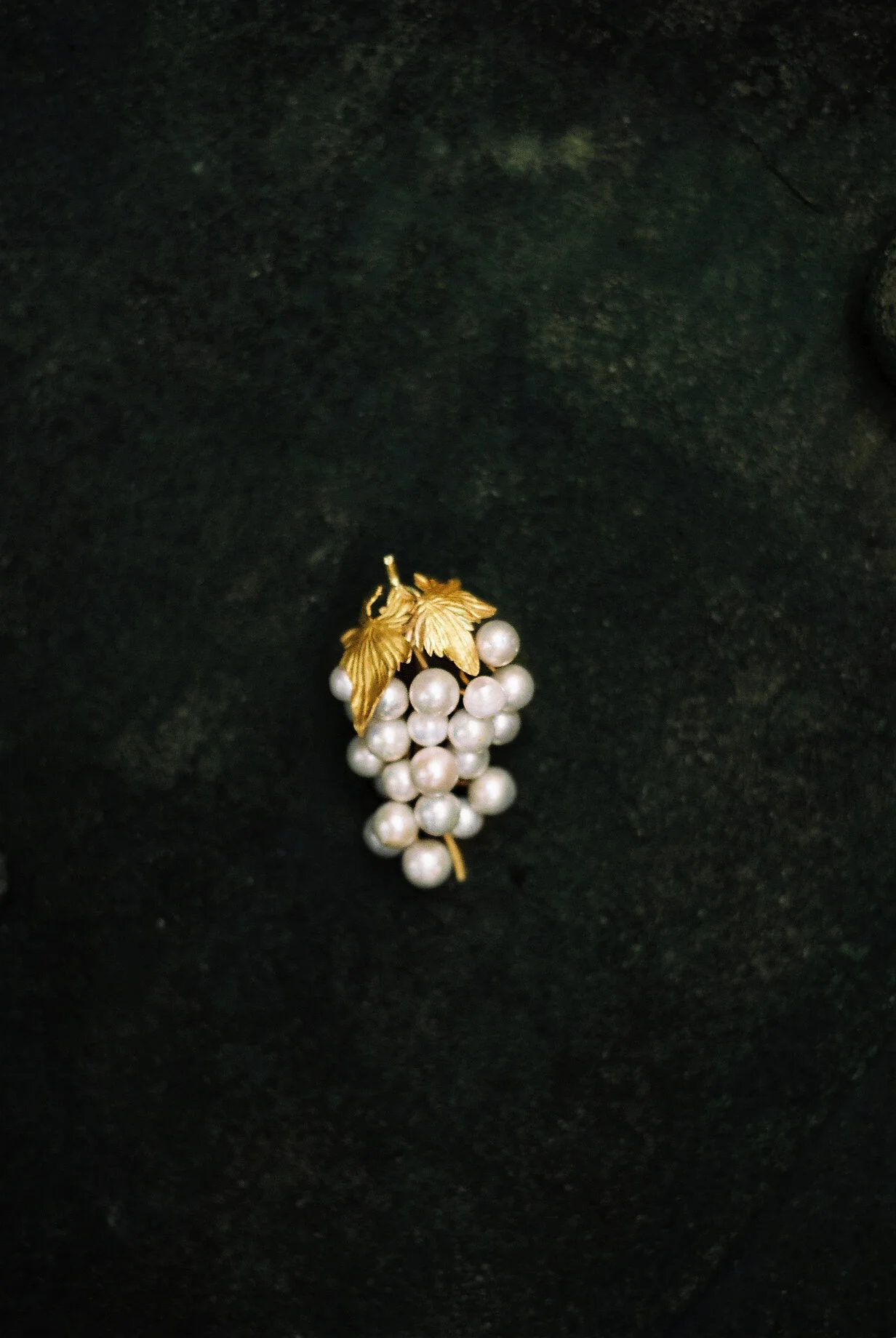 IMG_5977-DONE kopier.JPG