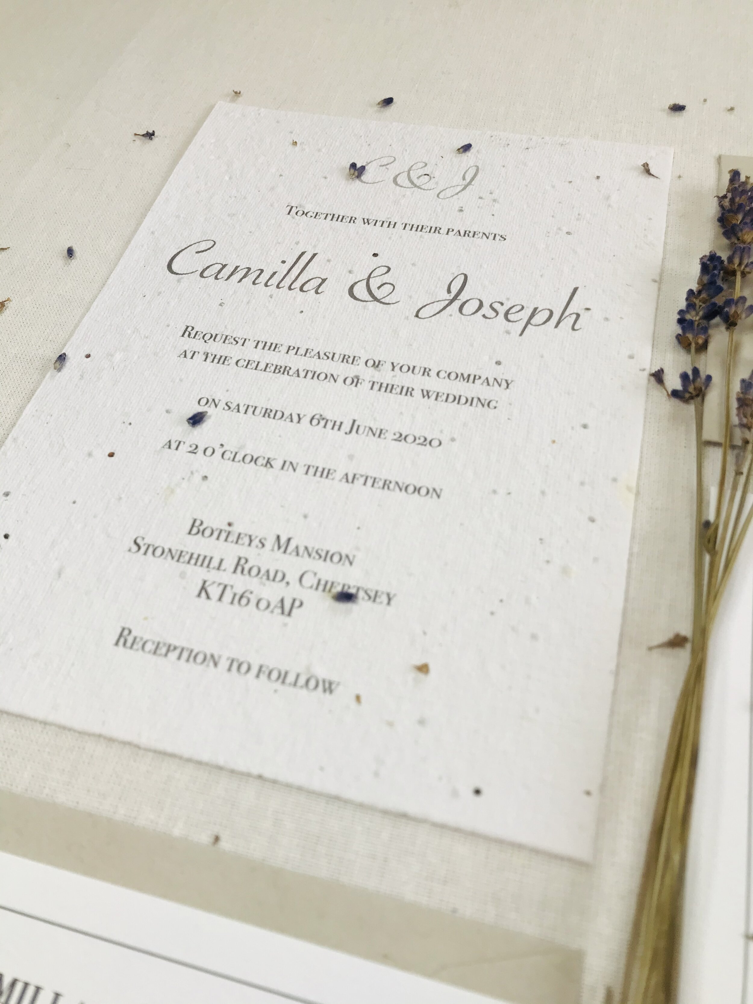 Eco friendly, plantable Wedding Invitation suite - Classic Border