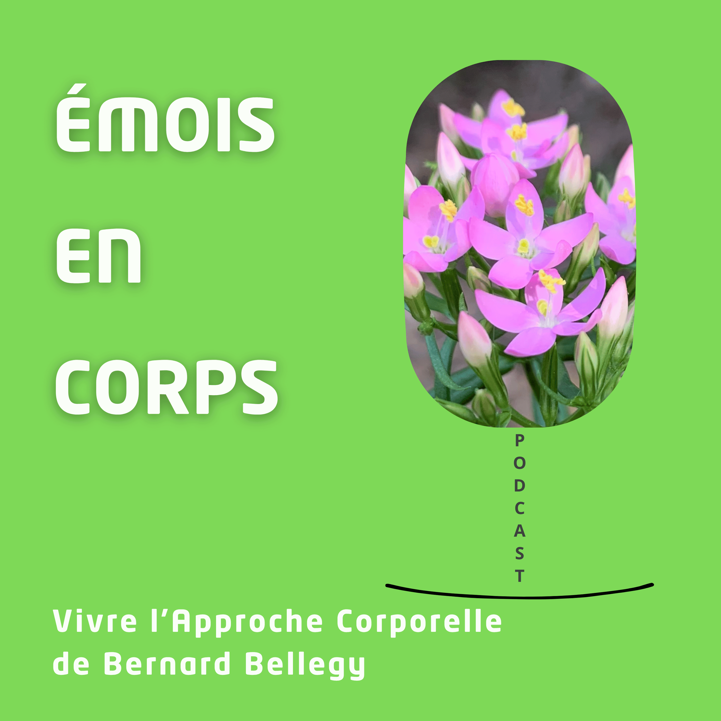 0.« Emois ».png