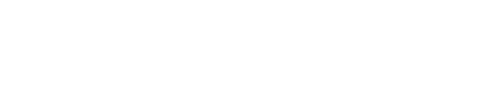 EY ^ DE logo