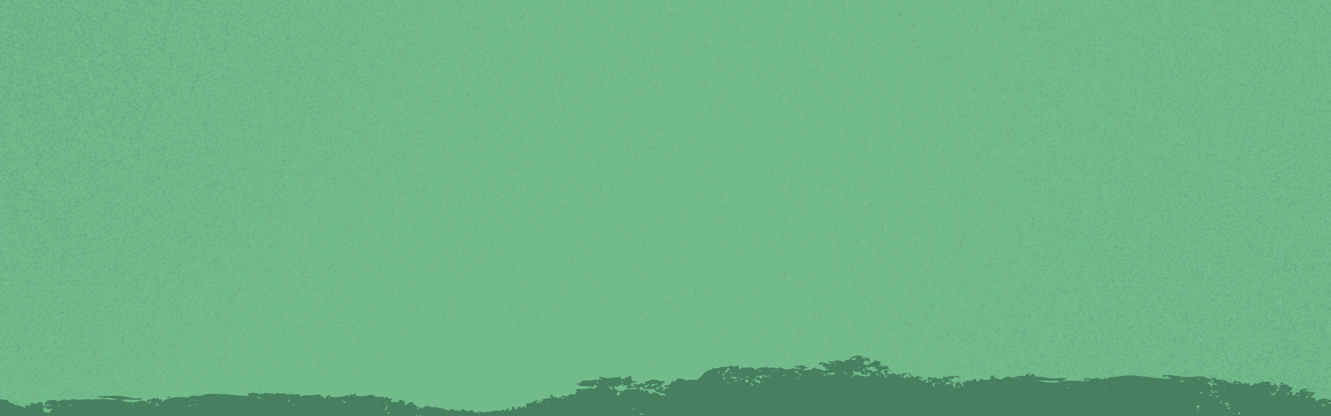 Provider Header Banner - 600px H.png