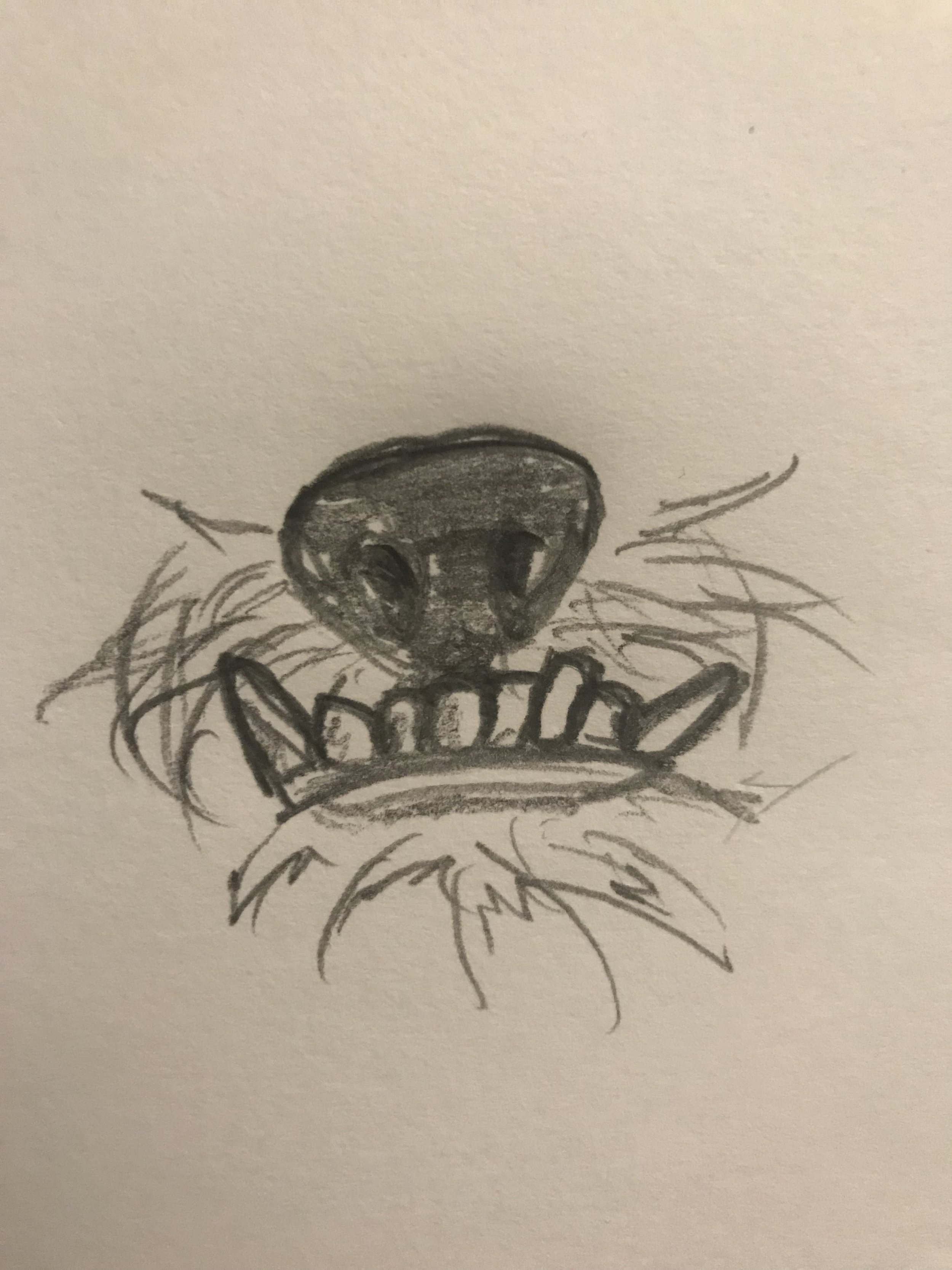 Original Concept Sketch 