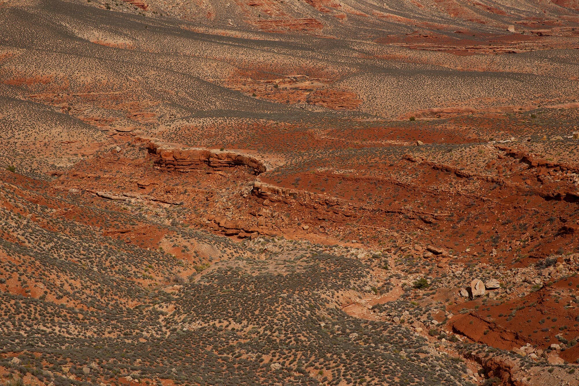 GrandCanyonflatArizonatravelphotography.jpg