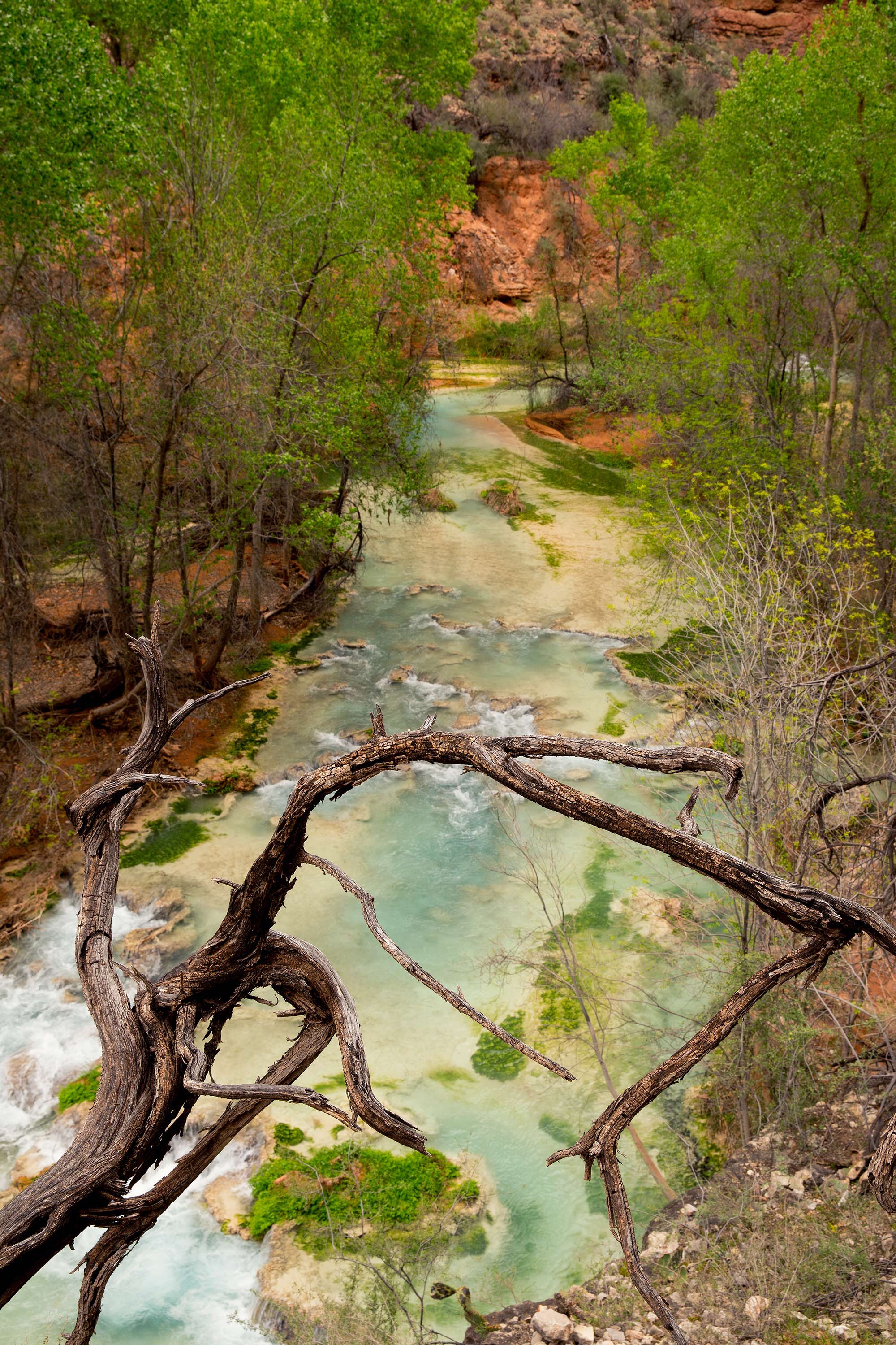 HavasupaiRivercrossingGrandCanyontravelphotography.jpg