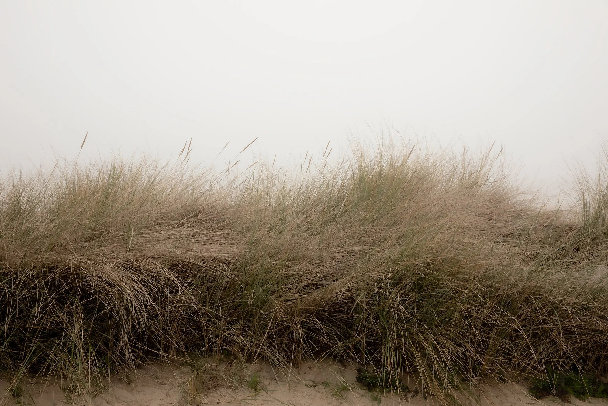 BEACH AT SANGATTE, FRANCE (2)