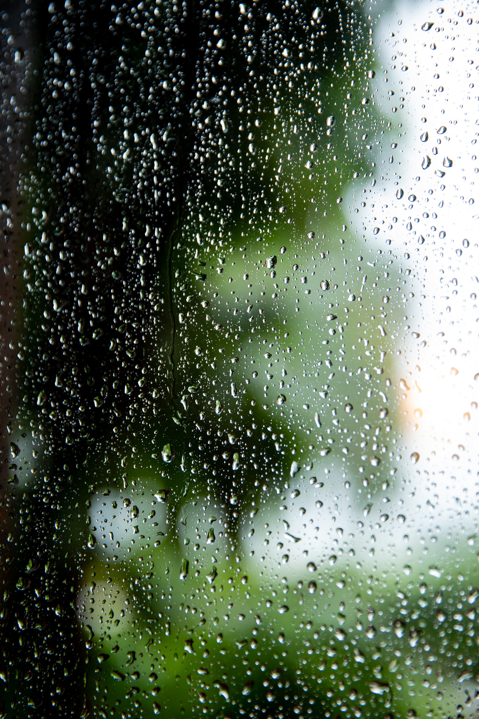 WET DAY AT "LE CASELLE", UMBRIA
