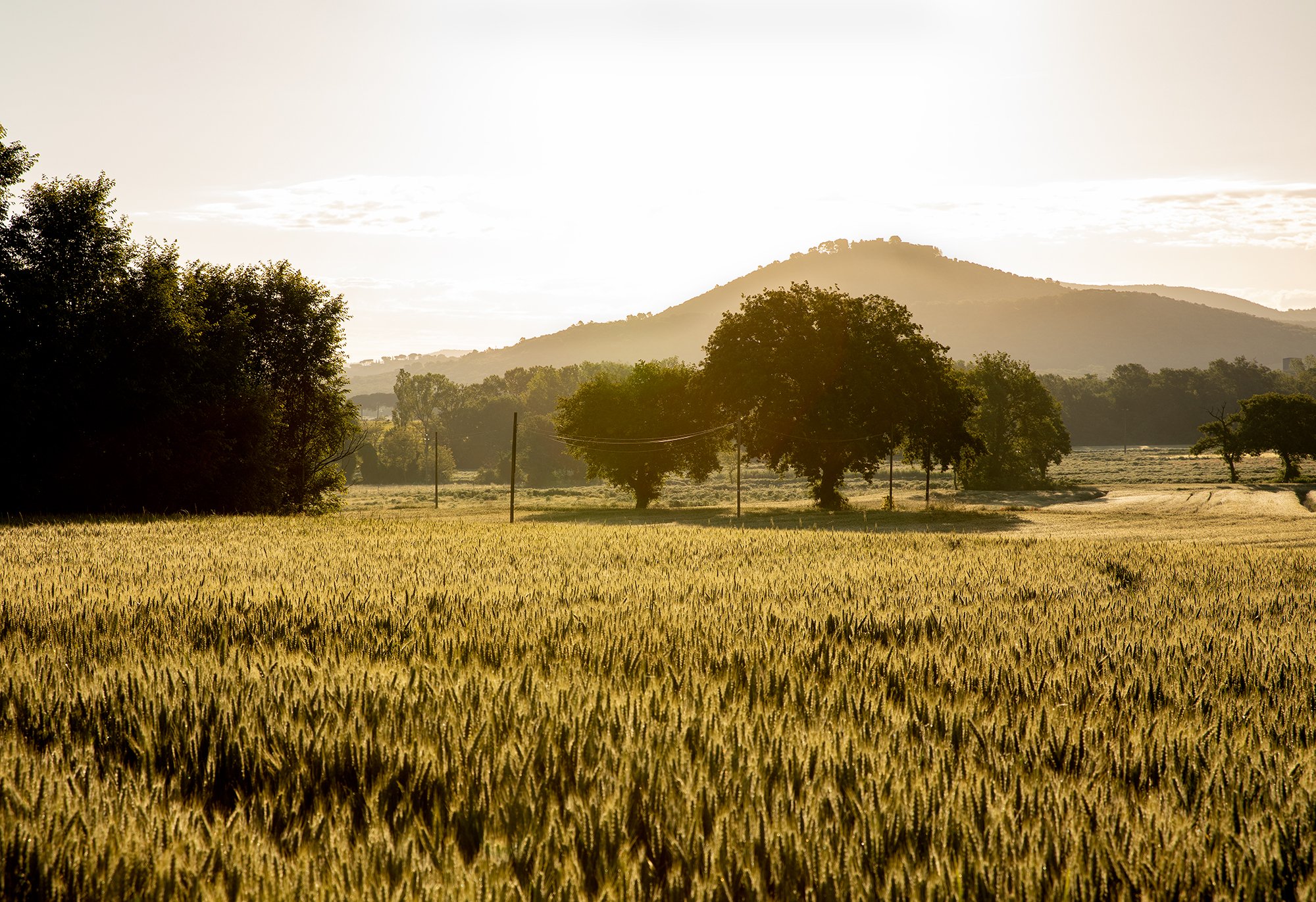 VIEW FROM "LE CASELLE", MACCHIE, UMBRIA