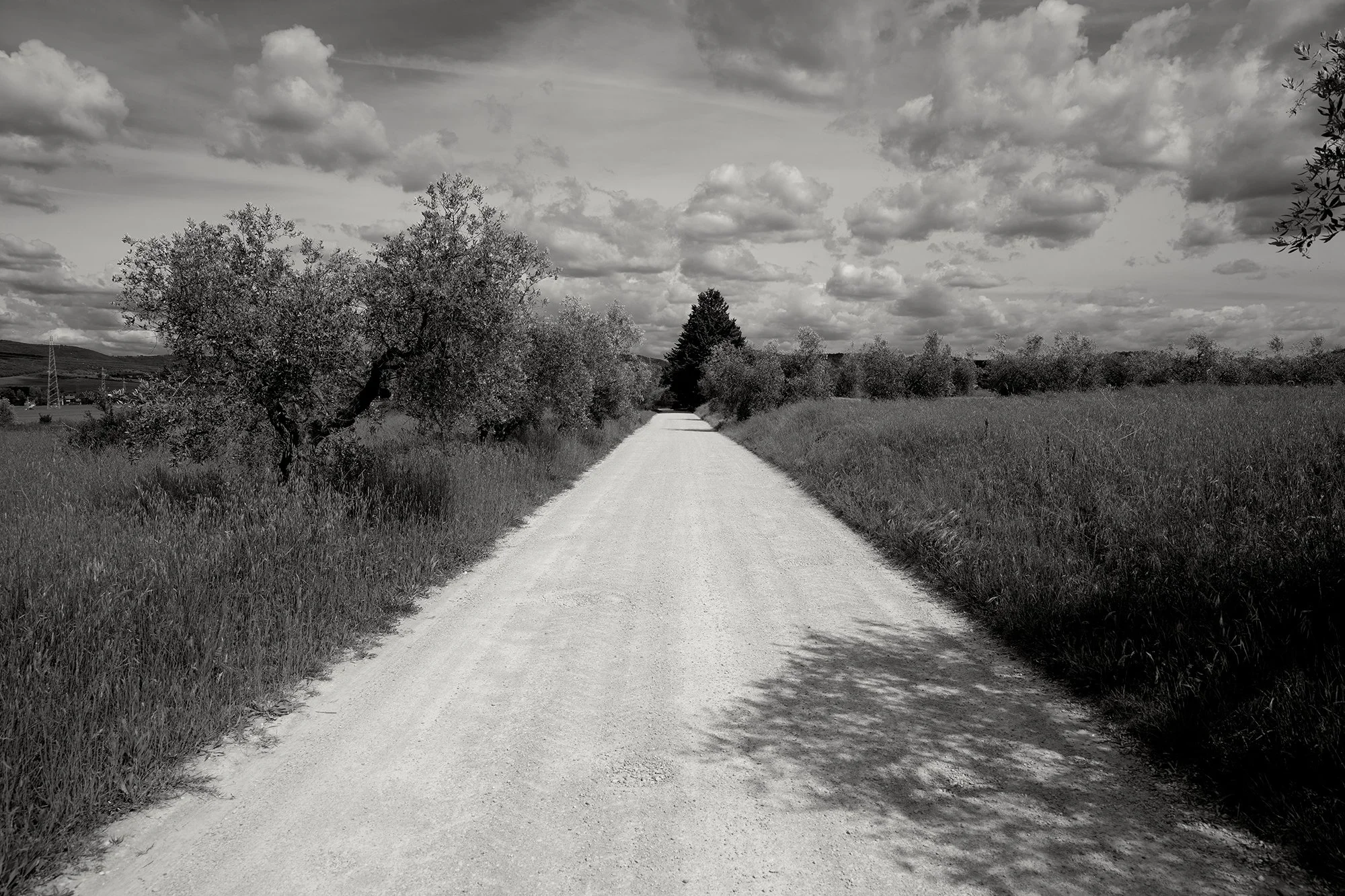 ROAD OUT OF MACCHIE, UMBRIA