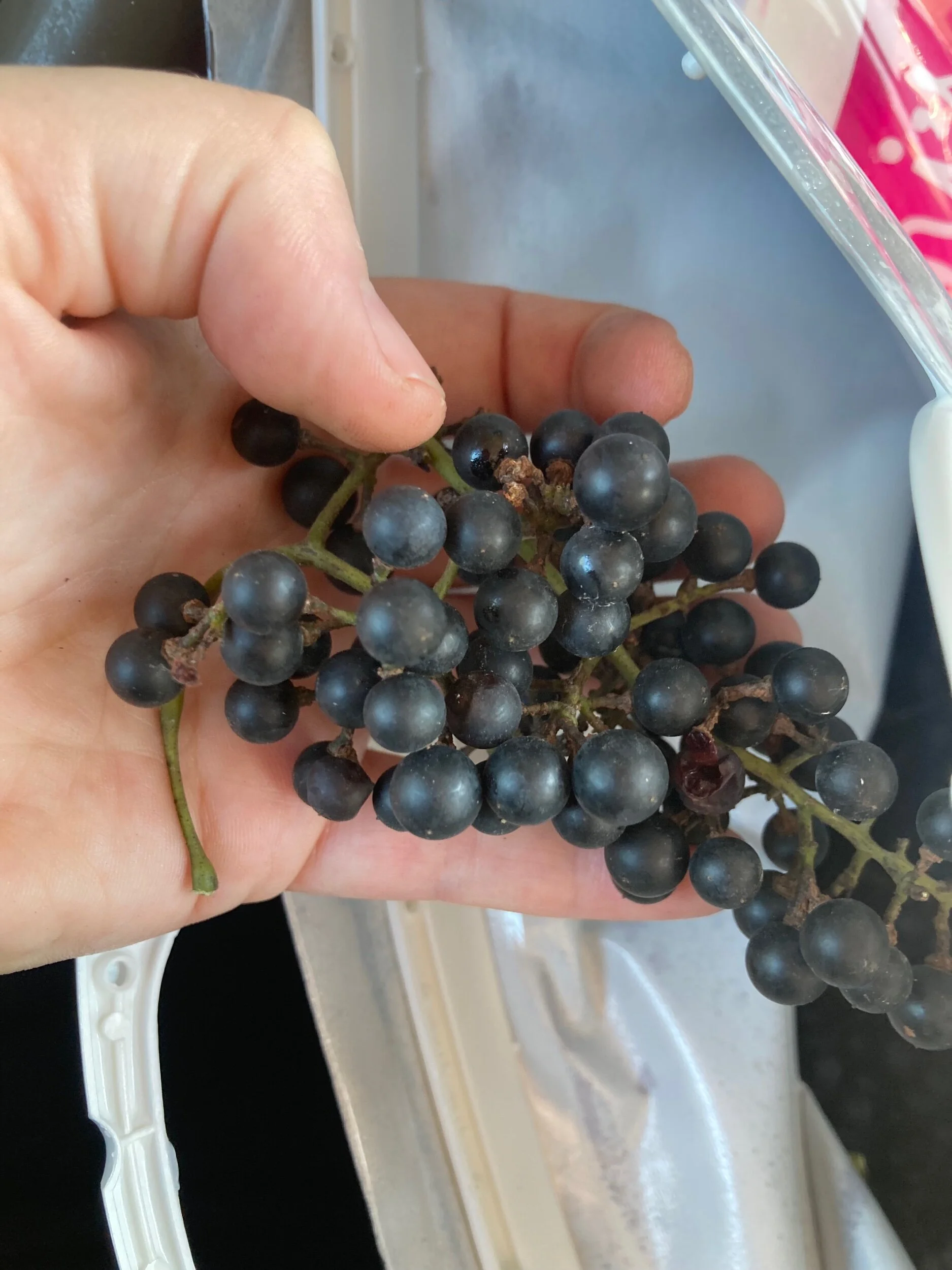 36AF4562-90A8-4B50-8BF8-4382E6FCC889