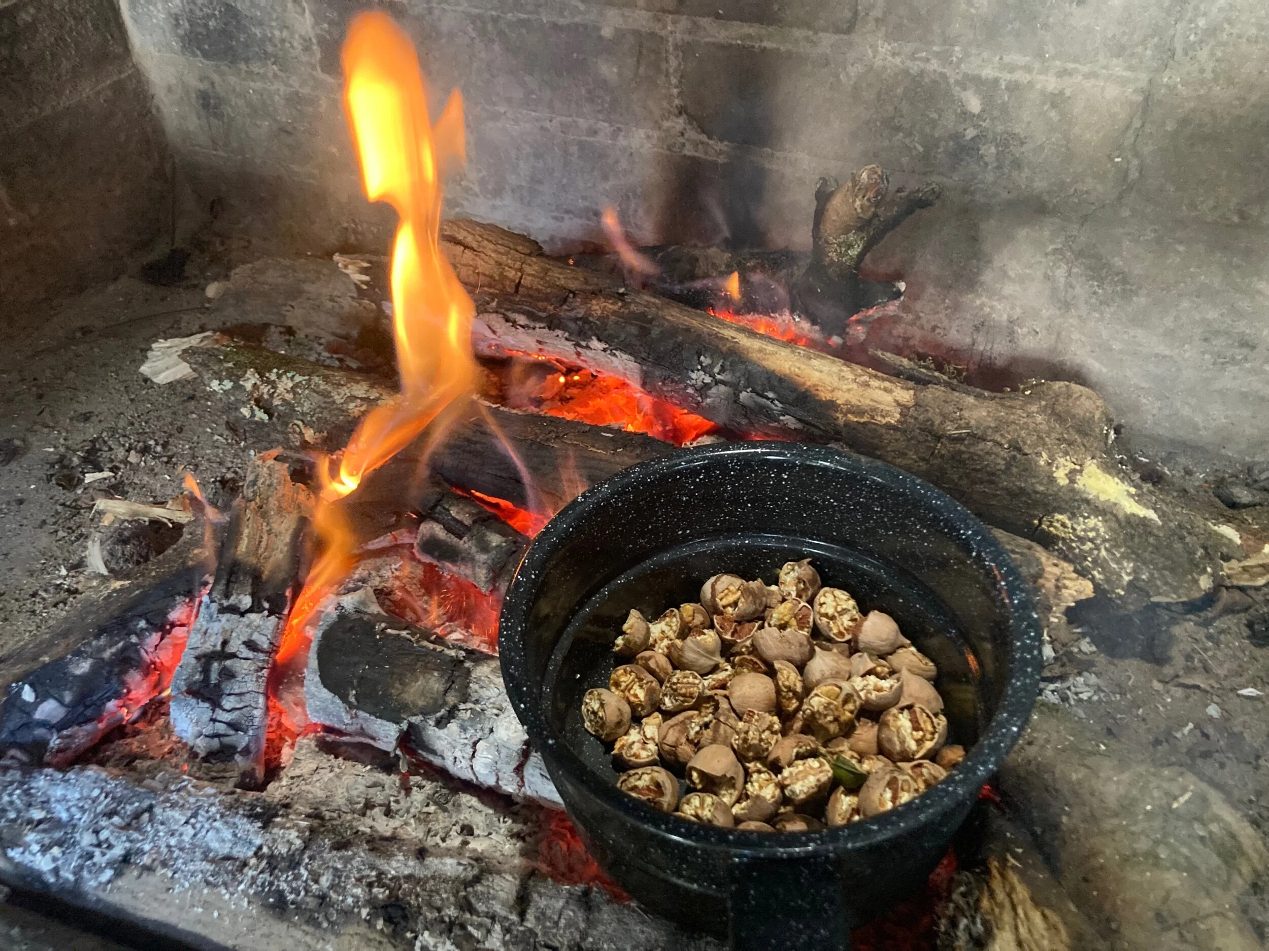 BFFD2B1F-6382-4B00-87BA-3A102862699D