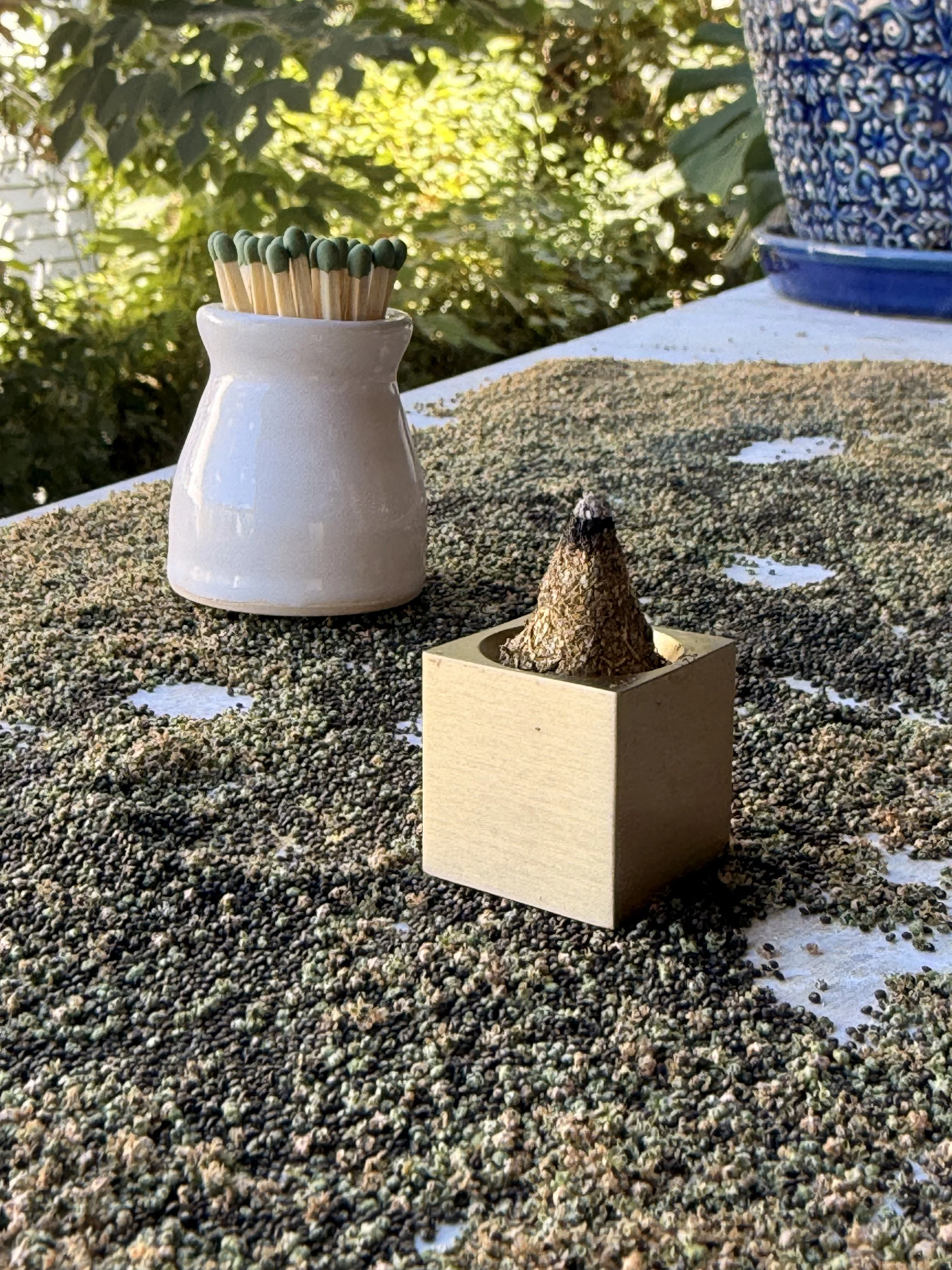 Sassafras Incense: Make Your Own Wild Aromatics