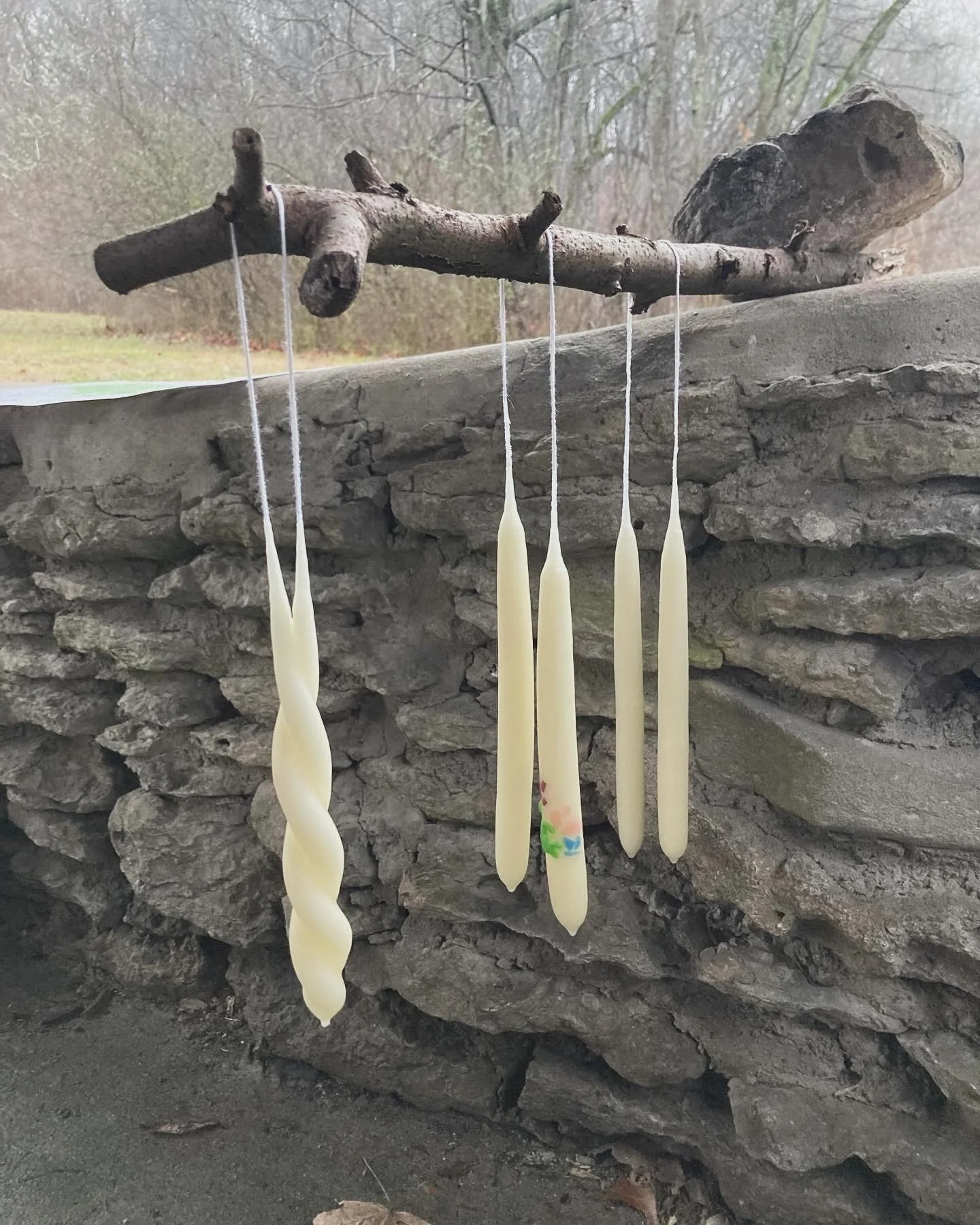 Dipping Beeswax Candles