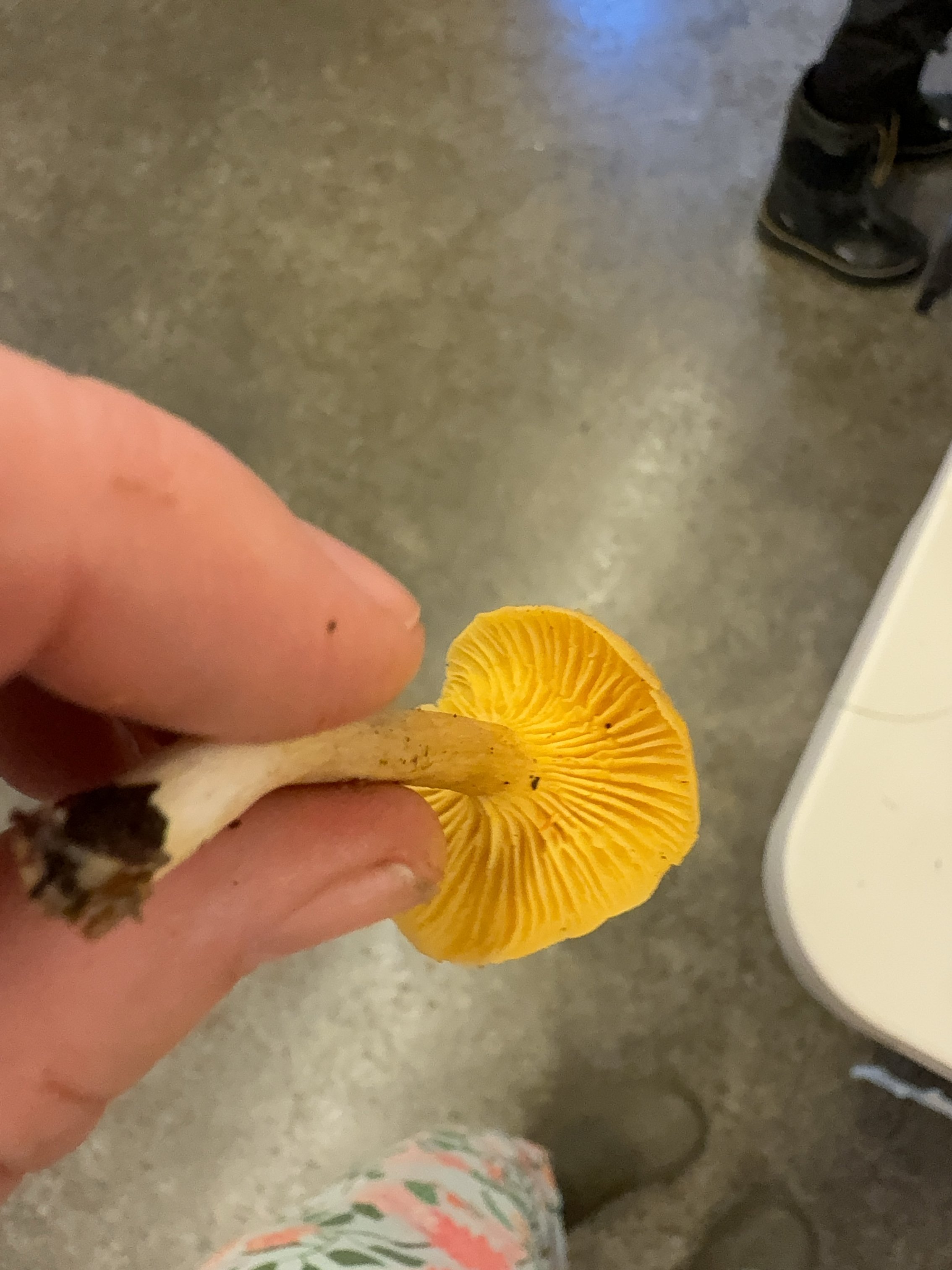 53103667-1E3C-4DB1-8EF0-241372DE327E.jpeg