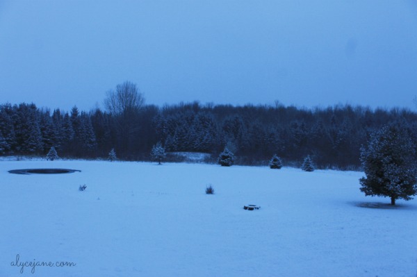 Wisconsin Winter