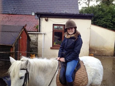 Horses and Road Trip to Limerick