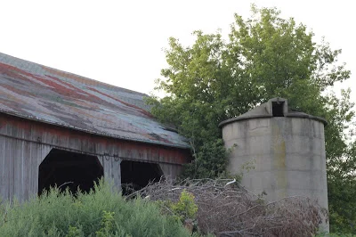 Uncle Bob's Garden Stir Fry