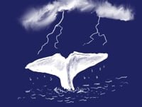 The White Whale