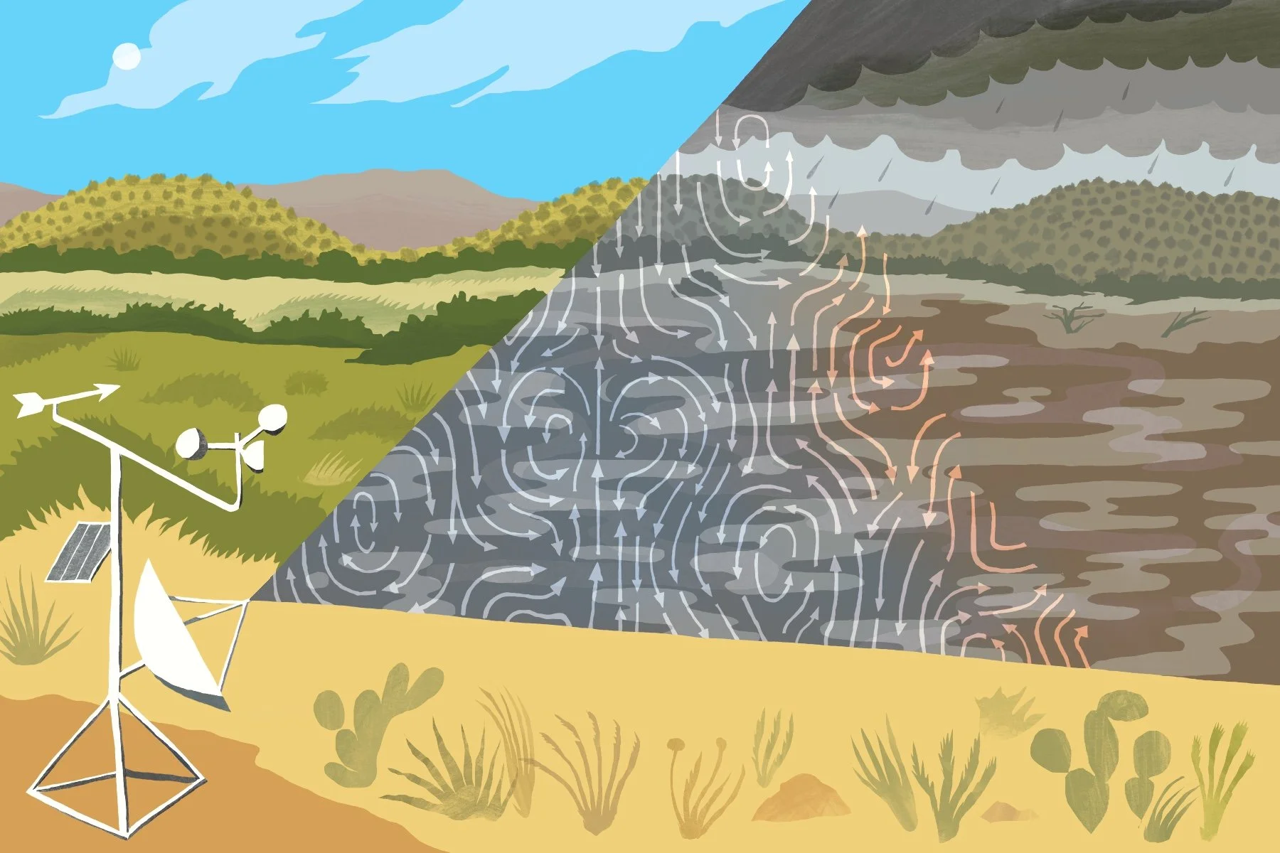 CoreyCorcoran_FloodResearch_Alcalde.jpg
