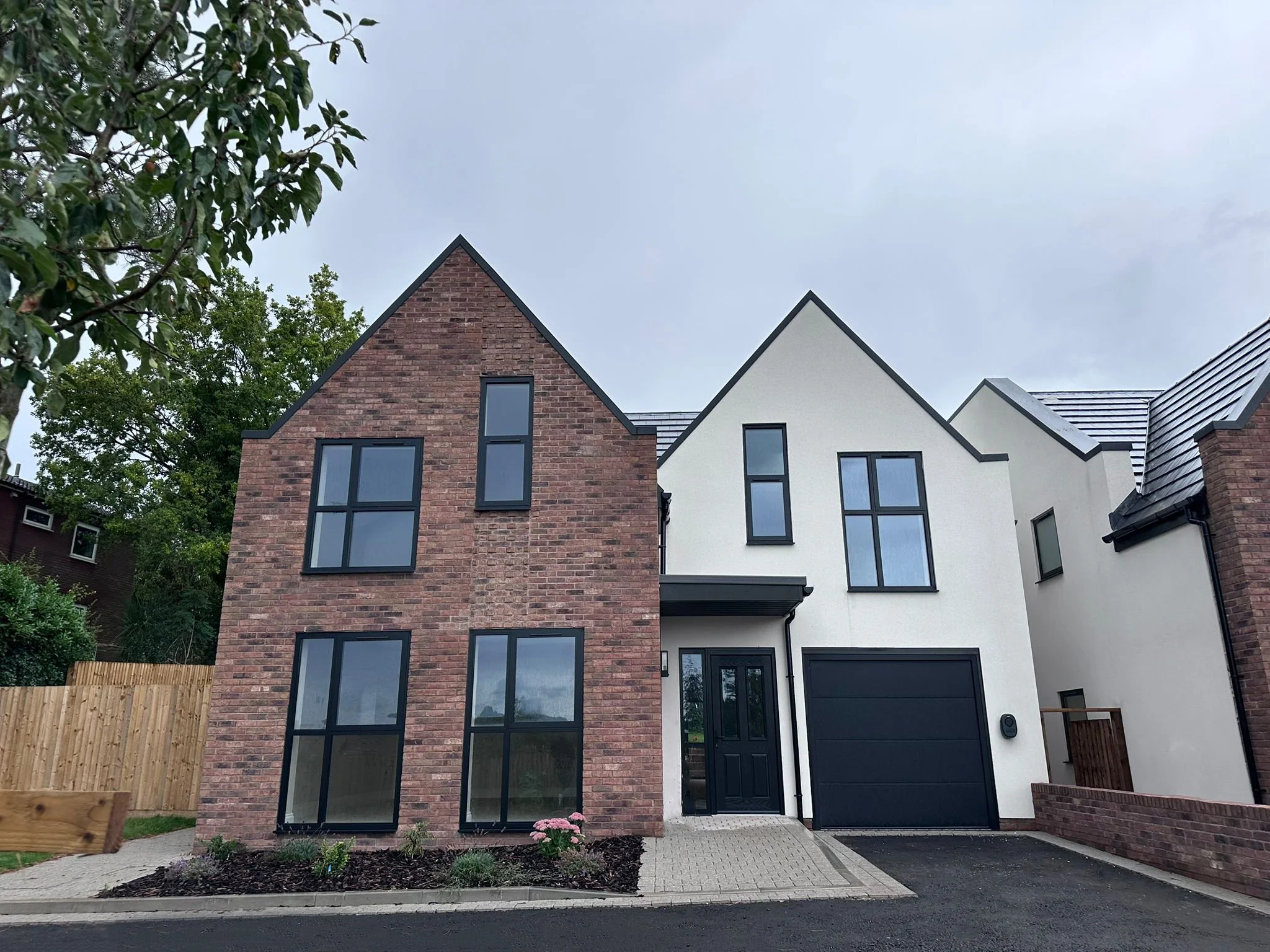 edited image00003.jpg