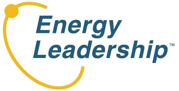 What is Energy Leadership?