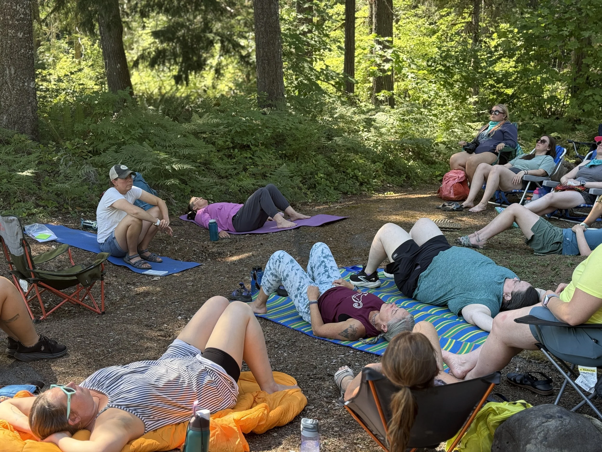 DLT: Forest Bathing