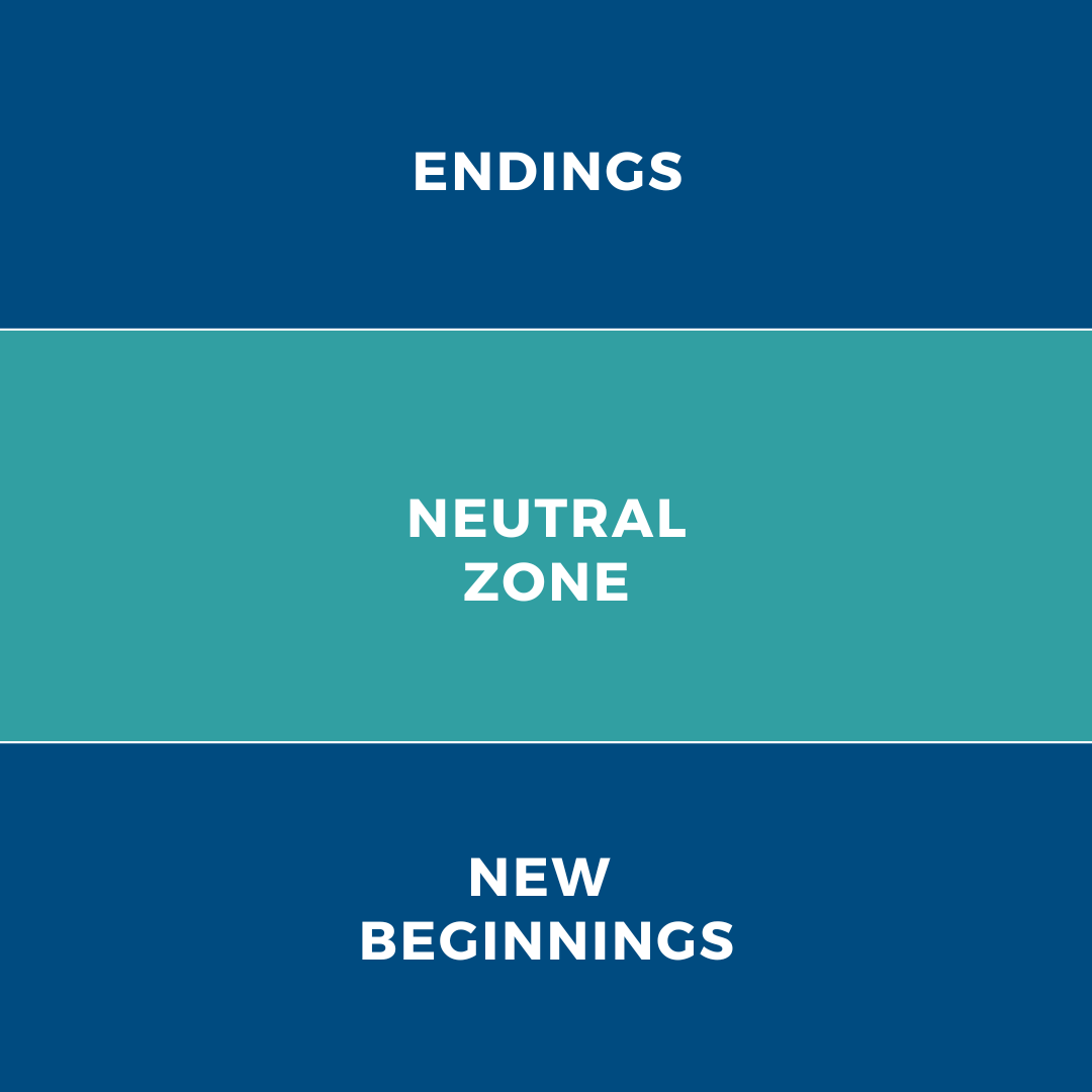 Bridges Transition Model