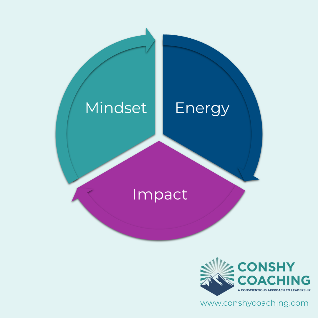 Conshy Coaching Framework: Mindset. Energy. Impact.
