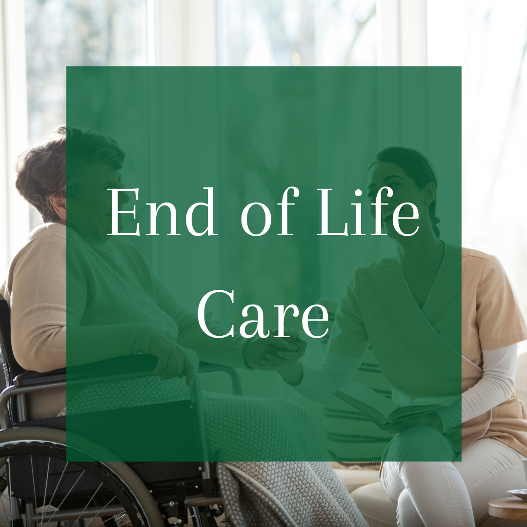 Hospice Care-2.png