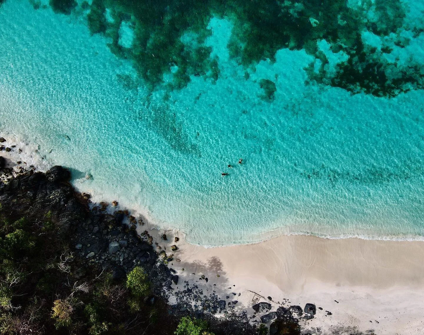 Where the salt meets the sand
http://max-charters.com
.
.
.
#visitstthomas #usvirginislands #christmascove #carribean #maxcharters #charterboat #sailing #ritzcarltonstthomas #secretharborbeachresort #margaritavillestthomas  #usvi #virginislands #usv