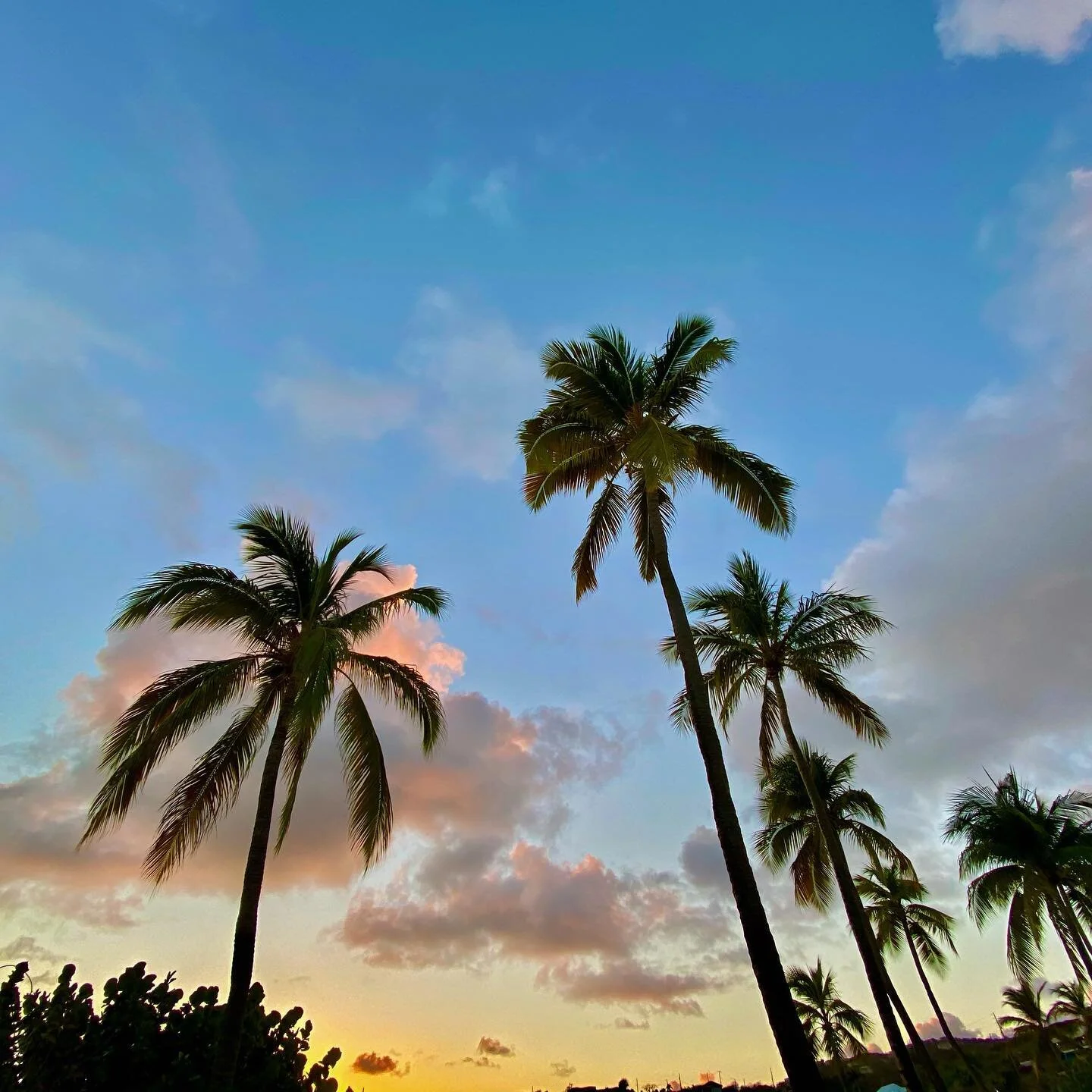 Sunset skies in the USVI 
http://max-charters.com
.
.
.
#visitstthomas #usvirginislands #christmascove #carribean #maxcharters #charterboat #sailing #ritzcarltonstthomas #secretharborbeachresort #margaritavillestthomas  #usvi #virginislands #usvirgi